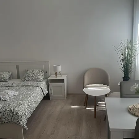 3- Sokobanjica * سوكو بانيا