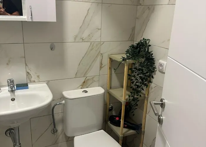 3- Sokobanjica * سوكو بانيا